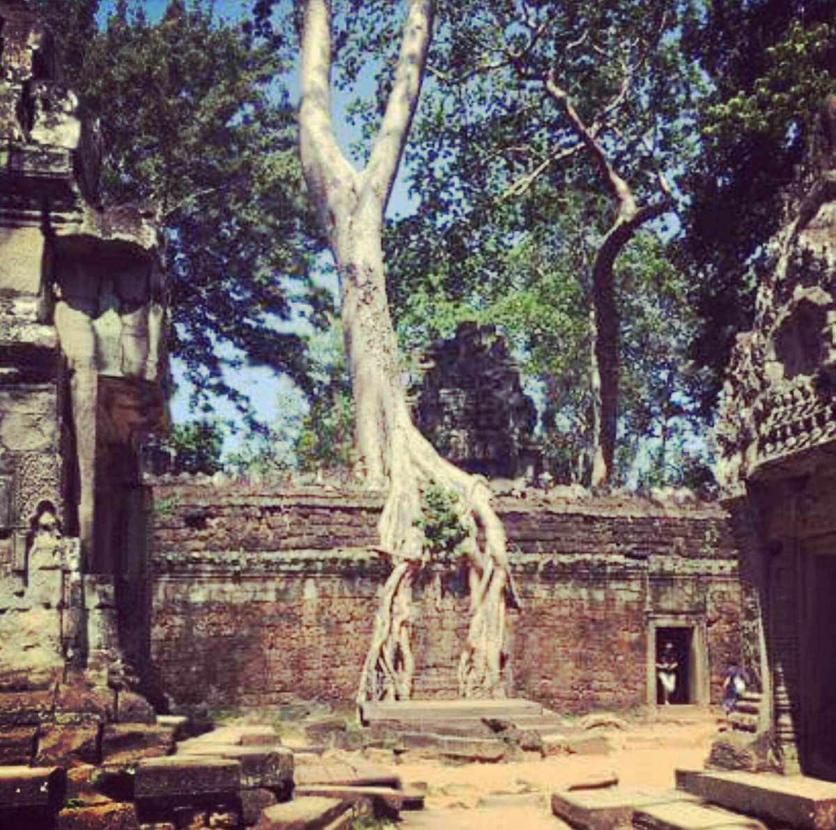 hetic international stage cambodge ruine thaddé 2016