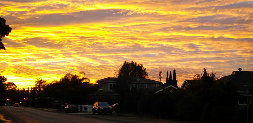 Sunnyvale sunrise