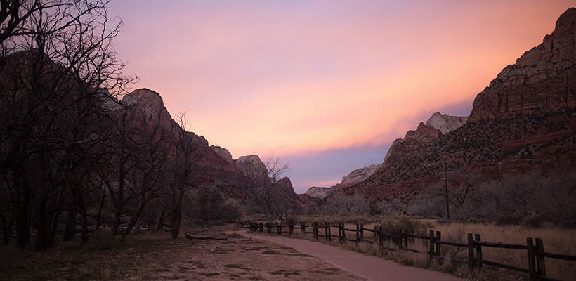Pink sky at Zion Park