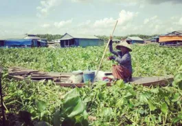 Paysages et diversité de Thaïlande