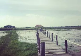 Paysages et diversité de Thaïlande
