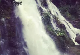 Paysages et diversité de Thaïlande