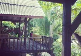 Paysages et diversité de Thaïlande