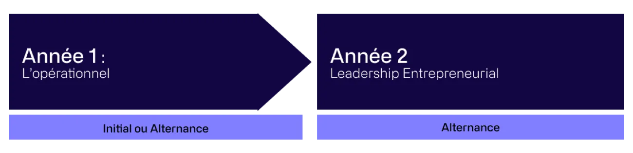 Frise Mastère | HETIC