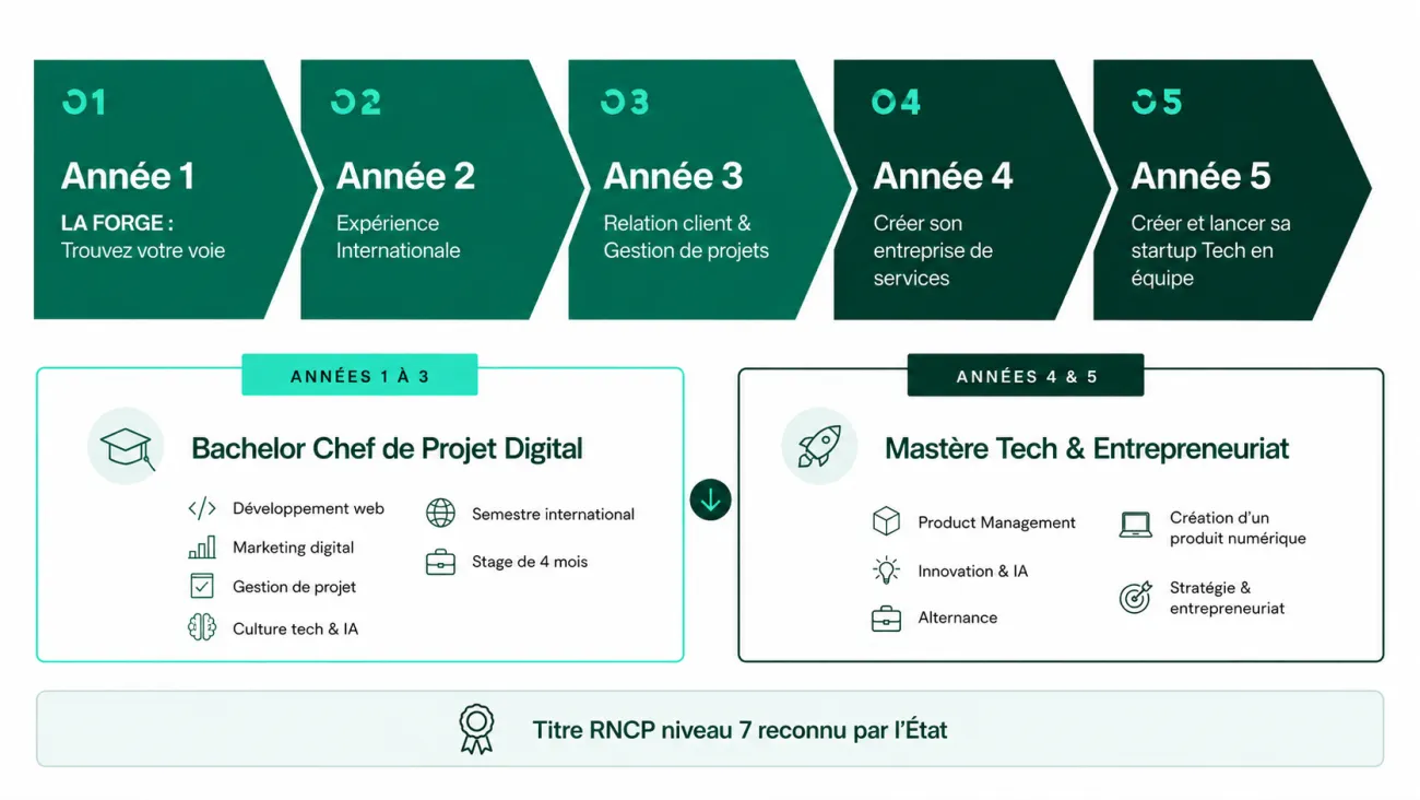 Timeline Programme Grande Ecole : Bachelor + Mastere | HETIC